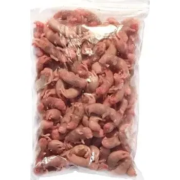 Krmivo pro terarijní zvíře Myš mražená - hole 1-2 g