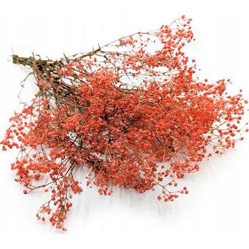 umělá květina Stabilizovaná Sádra – (gypsophila) – Pastelová Oranžová