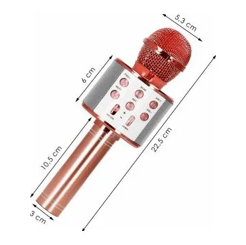 Mikrofon KG0029 HRAČKA S MIKROFONEM