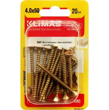 Vrut Vrut PZ se zápustnou hlavou – celý závit 4X50 (20ks/blistr)