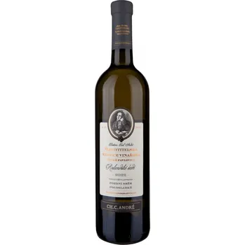 Šlechtitelská stanice vinařská Velké Pavlovice Rulandské šedé 2024 výběr z hroznů suché 0,75 l