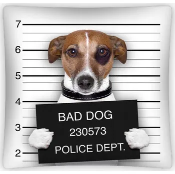 Povlak na polštářek Povlak na polštář Detexpol 40 x 40 cm