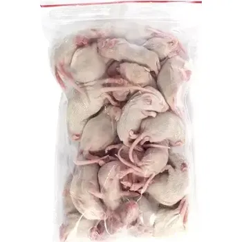 Teraristika Myš mražená - míša 5-6 g