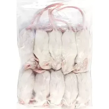 Teraristika Myš mražená - skákavka 11-15 g