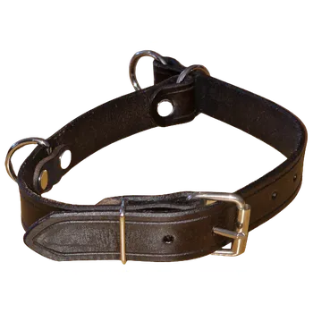 Obojek pro psa Zubíček Kombinovaný stahovací obojek Délka: 35 cm