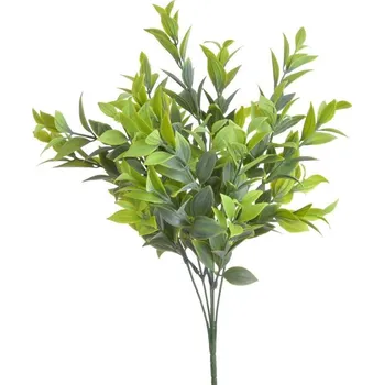 umělá květina Umělý ruscus světle zelený 36 cm