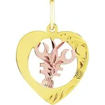 Zlatý přívěsek znamení zvěrokruhu Rak - srdce SILVEGOB10264GY07