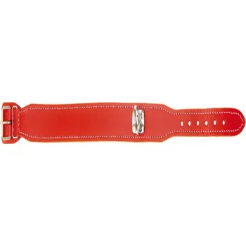 Obojek pro psa Zubíček Barvářský obojek - jasně červený Délka: 50 cm