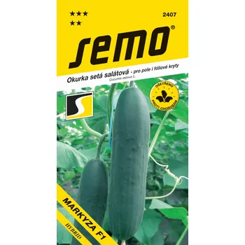 Semeno Okurka salát. - Markyza F1, 1,5g