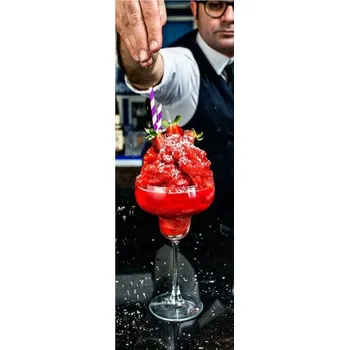 Sklenice Sklenice na margaritu - 6 ks. 250 ml, 109x170 mm | PASABAHCE, Bar&Table