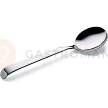Příbor Lžíce na salát 280 mm | PINTINOX, Astra