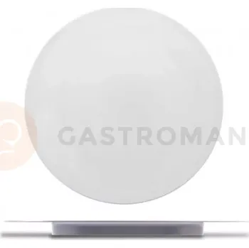 Talíř Plytký talíř 290 mm | ARIANE, Speciality Plates