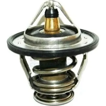 Těsnění motoru Termostat, chladivo MEAT & DORIA 92733