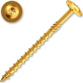 Vrut Vrut s talířovou hlavou na torx – 8 × 100 ZZ