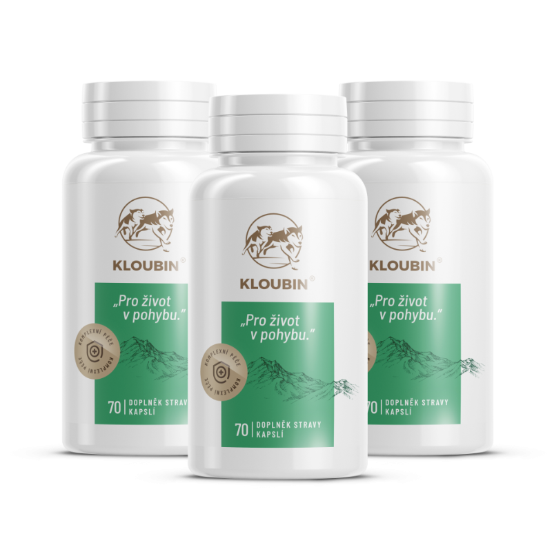 KLOUBIN Česká kloubní výživa pro seniory i dospělé, 210 cps.