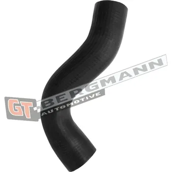 Turbodmychadlo Hadice plnícího vzduchu GT BERGMANN GT52-630