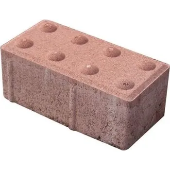 Dlažba Dlažba zámková BEST Klasiko pro nevidomé červená – 200×100×60 mm