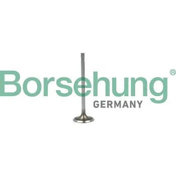 Autodíl Sací ventil BORSEHUNG B19015