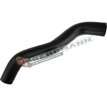 Turbodmychadlo Hadice plnícího vzduchu GT BERGMANN GT52-290