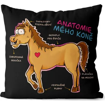 Dekorativní polštářek Polštář 40 x 40 cm - Anatomie mého koně