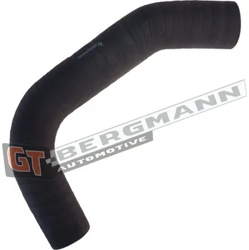 Turbodmychadlo Hadice plnícího vzduchu GT BERGMANN GT52-408