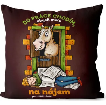 Dekorativní polštářek Polštář 40 x 40 cm - Nájem pro koně