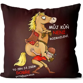 Dekorativní polštářek Polštář 40 x 40 cm - Kůň není rozmazlený