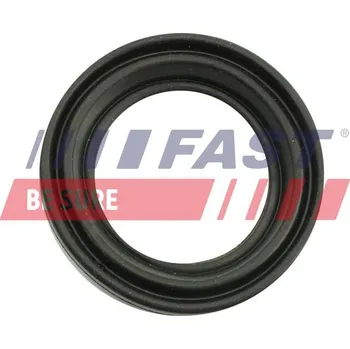 Brzdový třmen Sada na opravy, brzdový třmen FAST FT32483