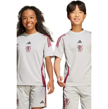 Dívčí oblečení Dětské tričko adidas Performance šedá barva, s aplikací, JX1967 09X, vel. 116