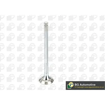 Ventil motoru Výfukový ventil BGA V991909