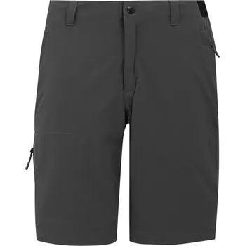 Pánské kraťasy Pánské kraťasy Regatta Eldes Shorts Velikost: M / Barva: šedá