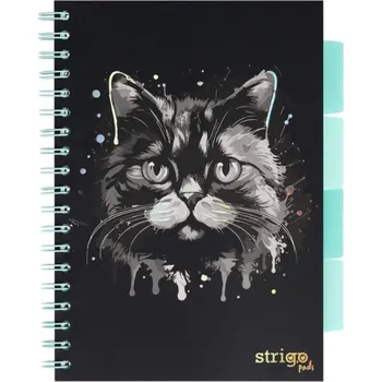 Poznámkový blok Kočka B5/100l/80g, linka, s děliči