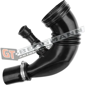 Vzduchový filtr Sací hadice, vzduchový filtr GT BERGMANN GT52-395