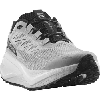 Dámská běžecká obuv Salomon Aero Blaze 3 Grvl M L47971600 - lunar rock/white/black 46