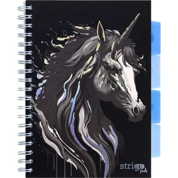 Poznámkový blok Jednorožec B5/100l/80g, linka, s děliči