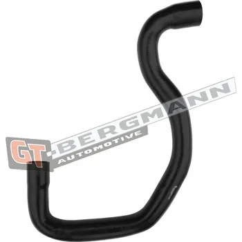 Turbodmychadlo Hadice plnícího vzduchu GT BERGMANN GT52-351