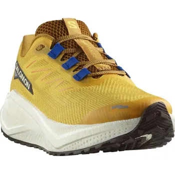 Pánská běžecká obuv Salomon Aero Blaze 3 Grvl M L47974200 - spicy mustard/vanilla ice/nautical blu 44