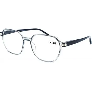 Brýle na čtení IDENTITY Dioptrické brýle MC2297 +1,00 grey flex