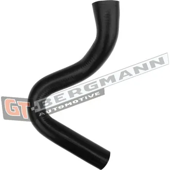 Turbodmychadlo Hadice plnícího vzduchu GT BERGMANN GT52-413
