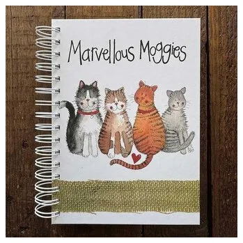 Set školních potřeb Kołonotatnik A5/100K 4 koty TW