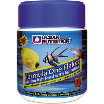 Krmivo pro rybičky Ocean Nutrition Formula ONE Flakes 156 g