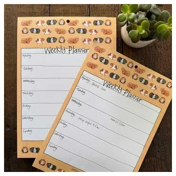 Set školních potřeb Tygodniowy planer A4/60K Świnki morskie