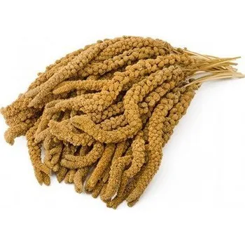 Chov hospodářského zvířete Krmné směsi Kvídera Proso senegalské - klasy žluté 15 kg