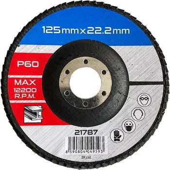 Brusný kotouč Kotouč lamelový brusný 125x22,2 mm P60