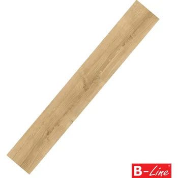 Vinylová podlaha MODULEO ROOTS 55 EIR Galway Oak 87372