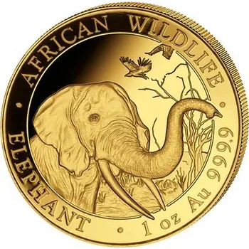 Zlatá mince 1000 Shillings Elephant (Slon africký) 1 Oz 2018 (African Wildlife Series)