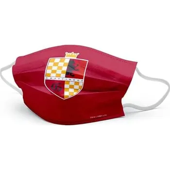 Karnevalová maska Redklein - Rouška s erbem Nebelvíru pro děti - Harry Potter - 8-10 years