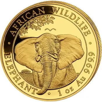 Zlatá mince 1000 Shillings Elephant (Slon africký) 1 Oz 2021 (African Wildlife Series)