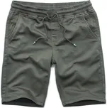 Recea Pánské teplákové kraťasy Tuiasosopo zelená S