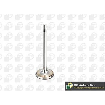 Ventil motoru Sací ventil BGA V164520